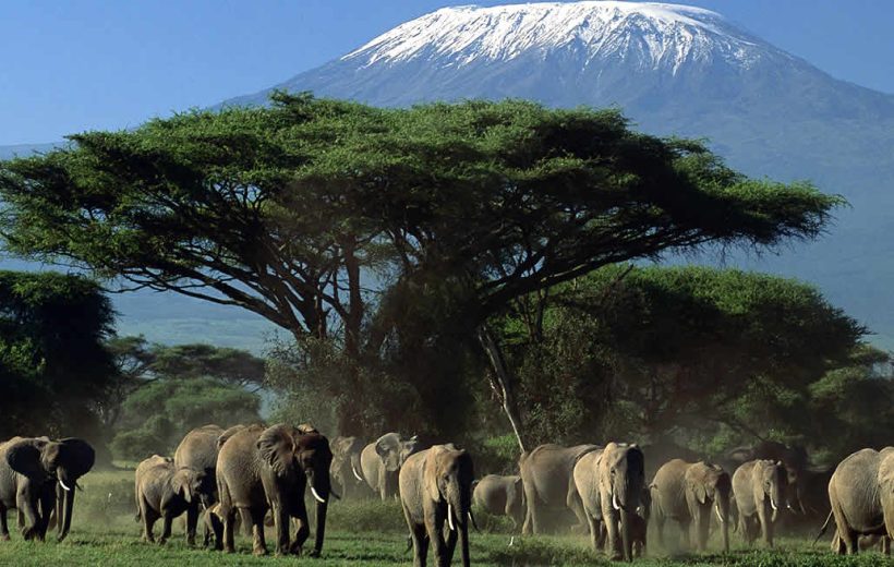 3 Days Amboseli Private From $280 USD PP