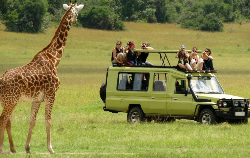 3 Days Masai Mara 4x4 Land Cruiser Safari