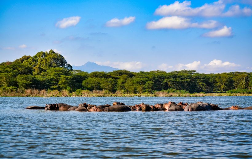 5 Days Maasai Mara, Lake Nakuru & Lake Naivasha Tour from $1100 USD