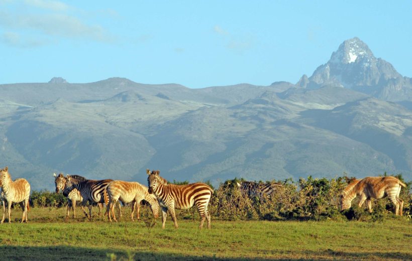 9 Days Masai Mara, L.Naivasha, L.Nakuru, Aberdare, Mt.Kenya & Samburu Private From Safari, $1,675 PP(USD)