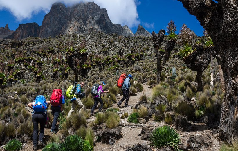 5 Days 4 Nights At Mount Kenya Hiking