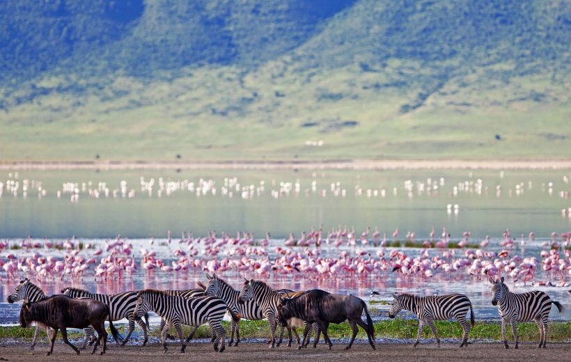 3 Days Tanzania Safari Tarangire National Park Ngorongoro Crater Lake