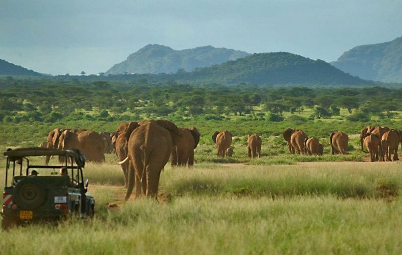 3 Days Samburu Private From $500 USD PP