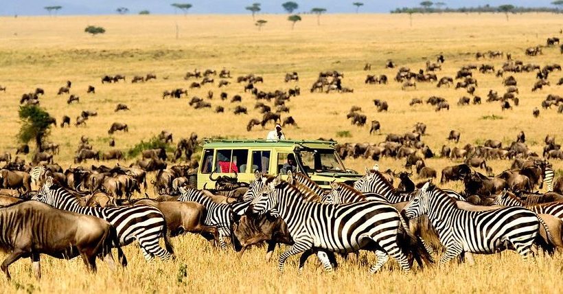 8 Days Amboseli & Tanzania Family