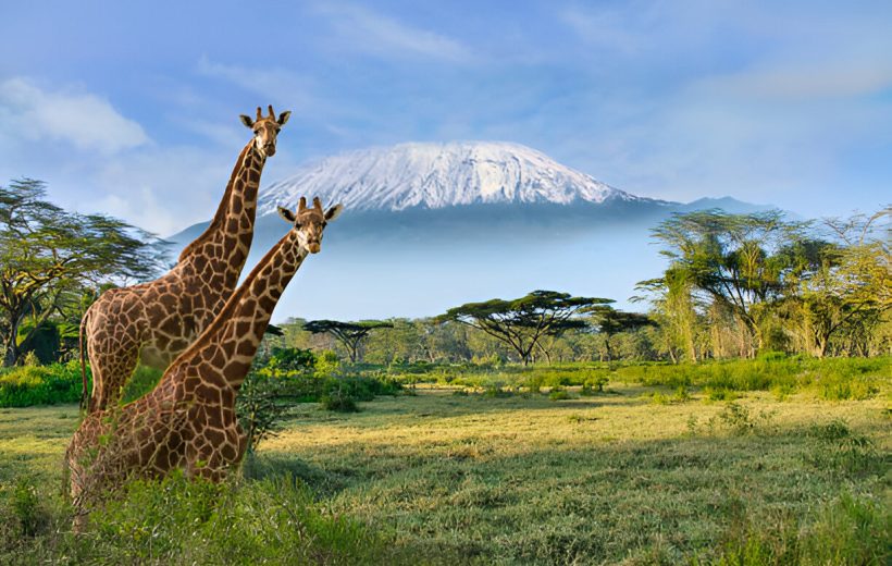 2 Days Amboseli Private From $200 USD PP