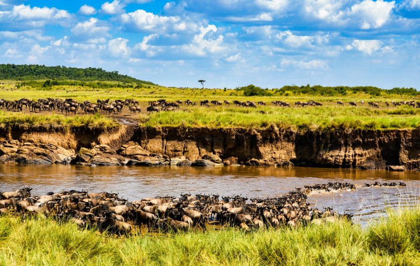 3 Days Maasai Mara The Great Migration